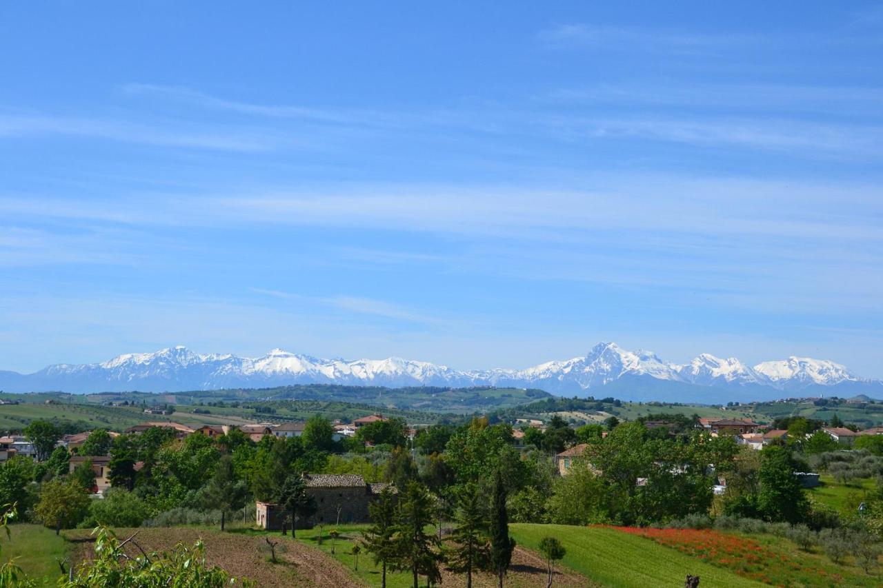 Agriturismo "Gli Olmi" Corropoli Esterno foto